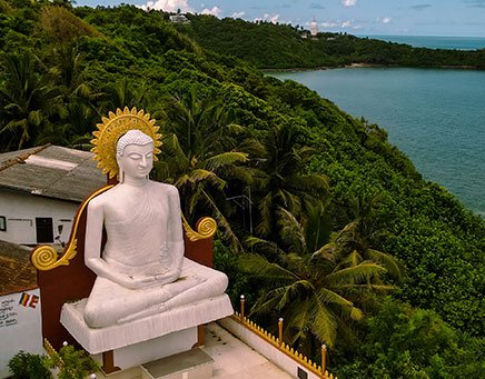 customized tour packages